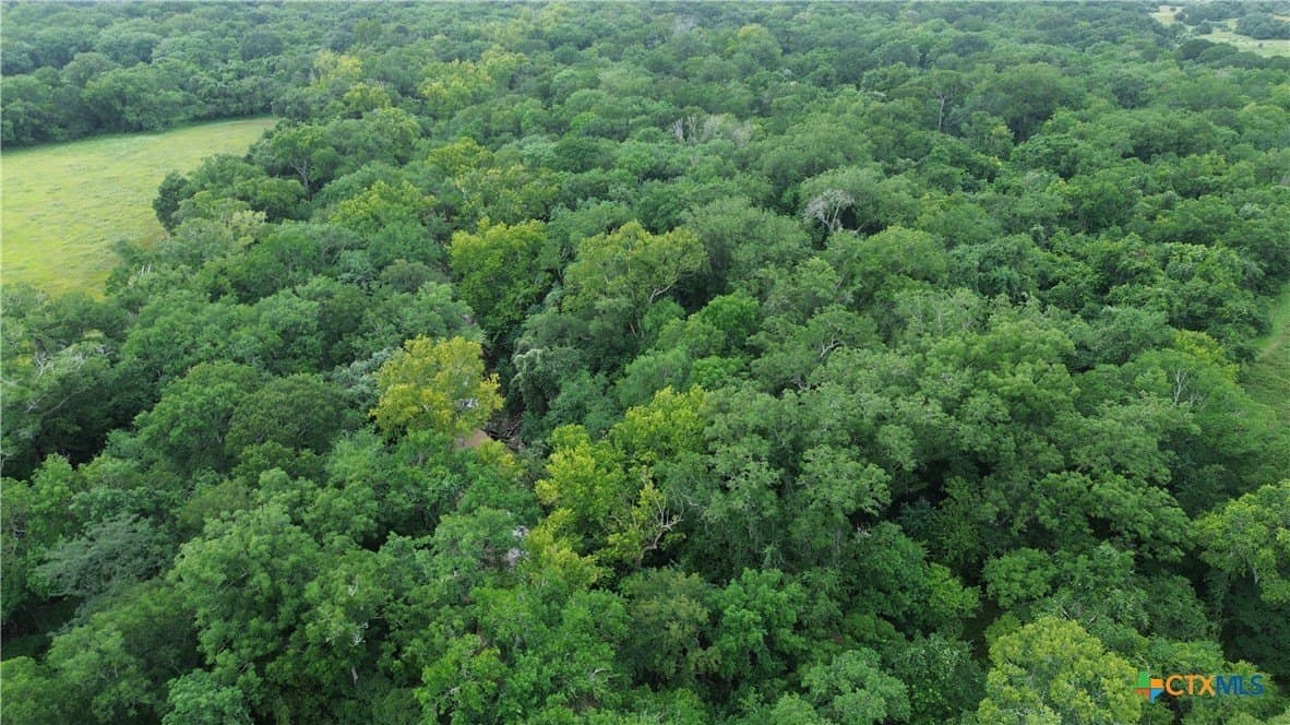 61.16 acres in Lavaca County - photo 39