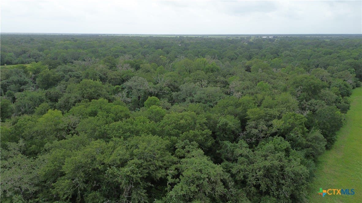61.16 acres in Lavaca County - photo 33