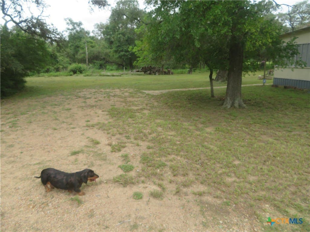 61.16 acres in Lavaca County - photo 14