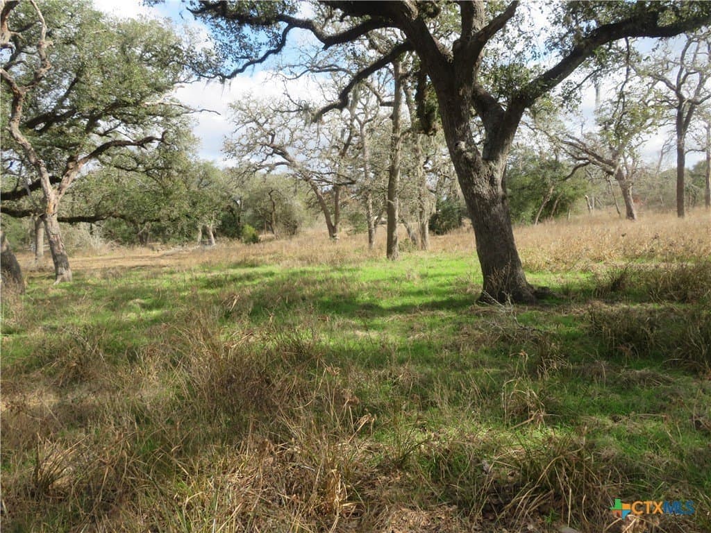 61.16 acres in Lavaca County - photo 45