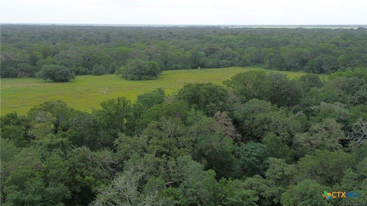 61.16 acres in Lavaca County - photo 35