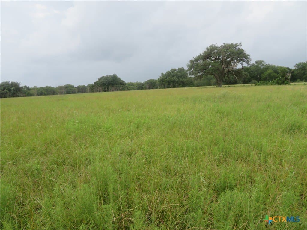 61.16 acres in Lavaca County - photo 25
