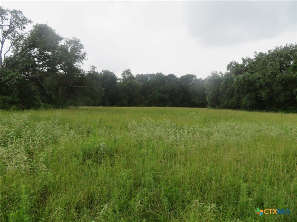 61.16 acres in Lavaca County - photo 29