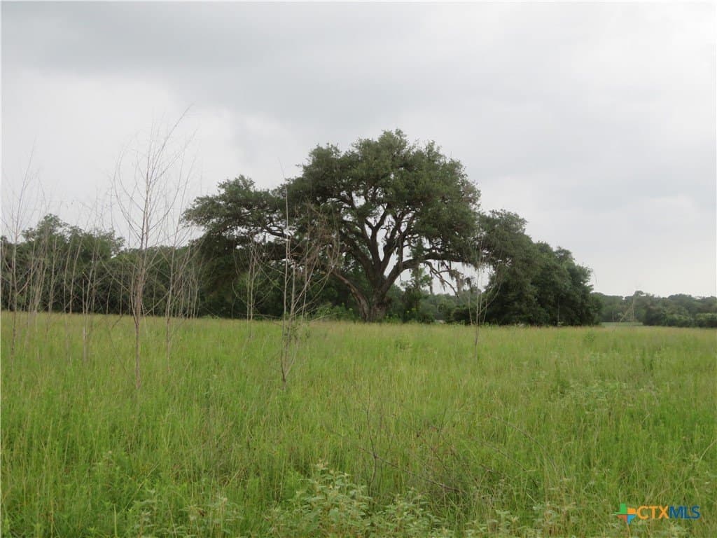 61.16 acres in Lavaca County - photo 30