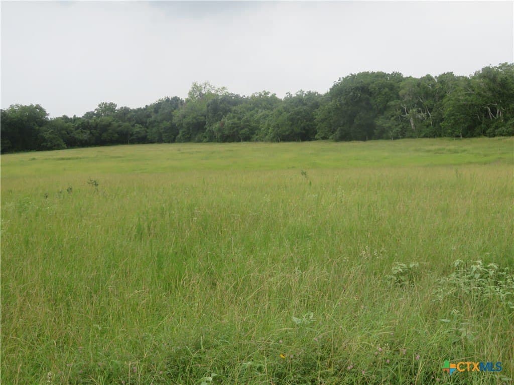 61.16 acres in Lavaca County - photo 27