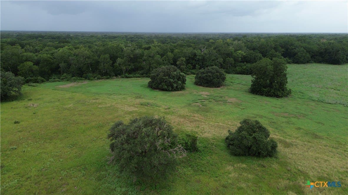 61.16 acres in Lavaca County - photo 32