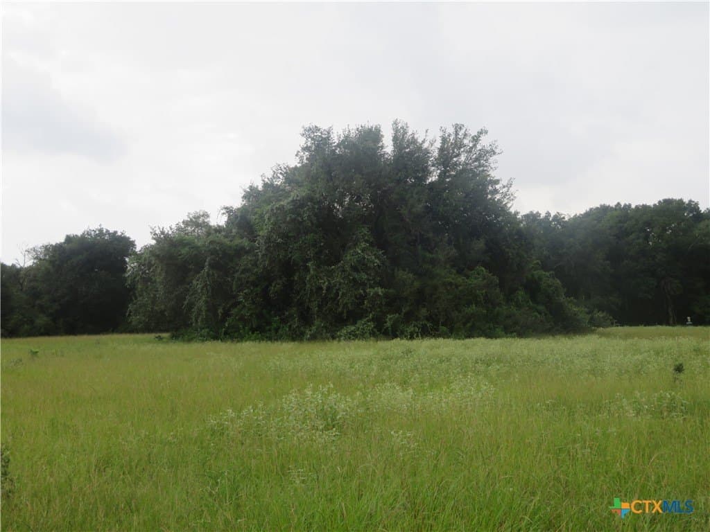 61.16 acres in Lavaca County - photo 17