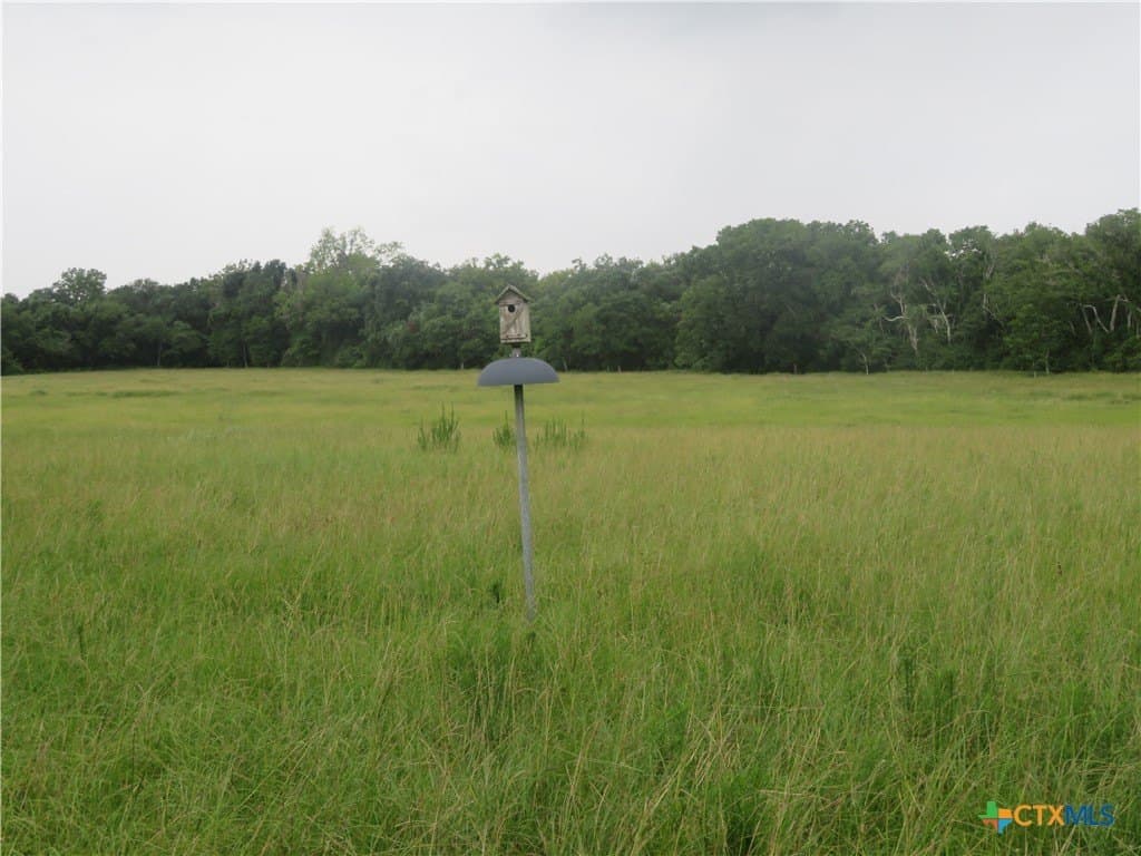 61.16 acres in Lavaca County - photo 28