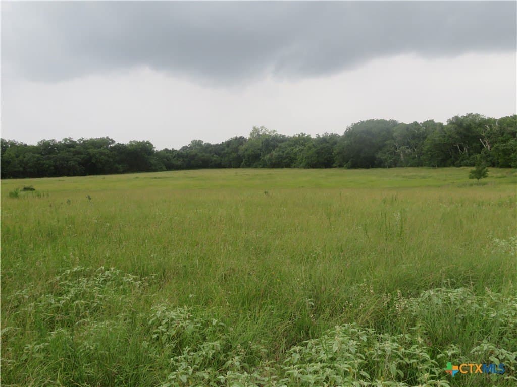 61.16 acres in Lavaca County - photo 26