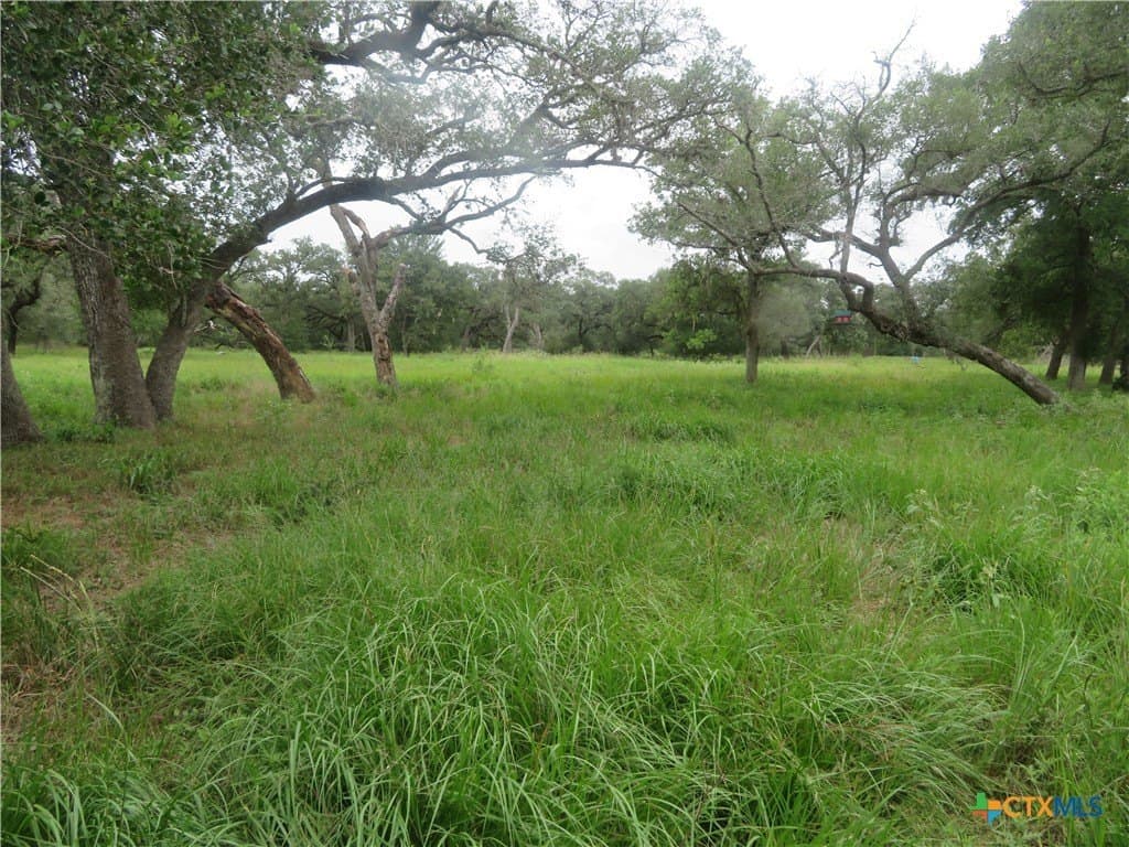 61.16 acres in Lavaca County - photo 23