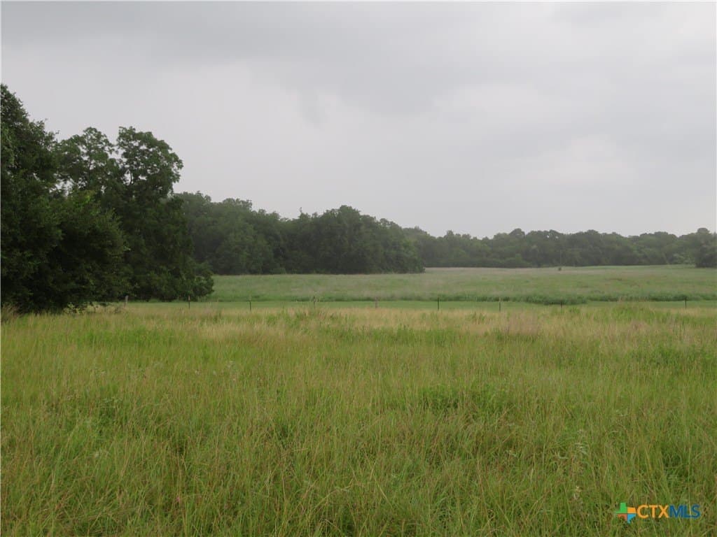 61.16 acres in Lavaca County - photo 6