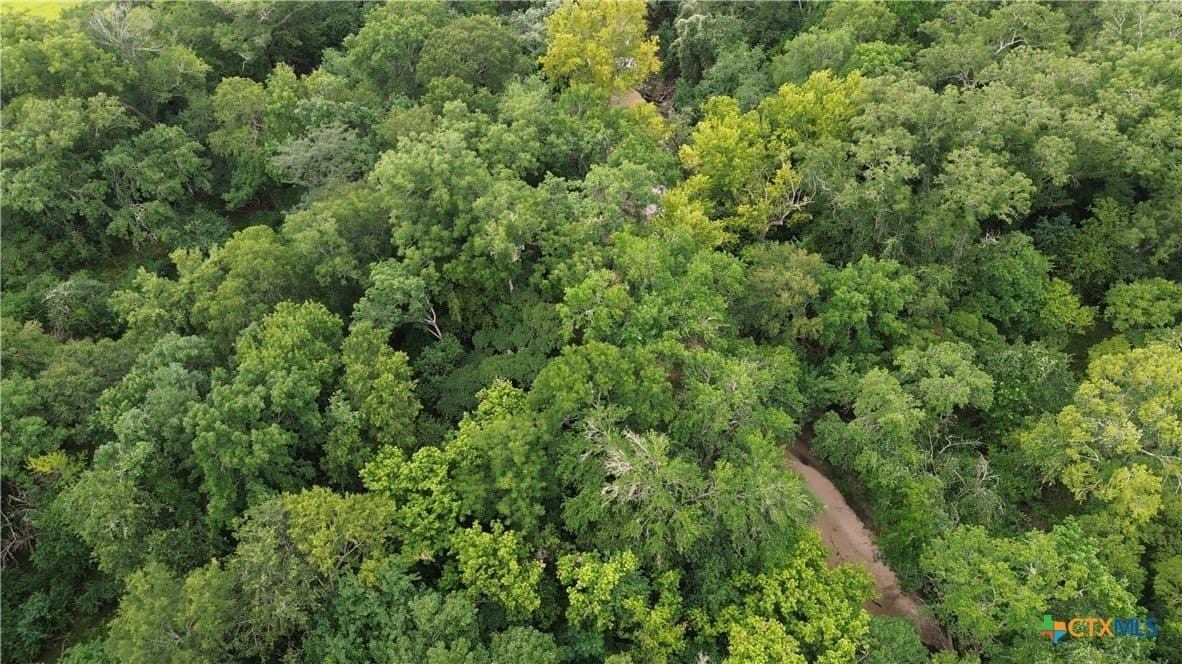 61.16 acres in Lavaca County - photo 40