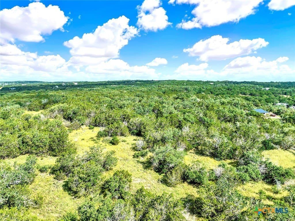 20.11 acres in Hays County - photo 5