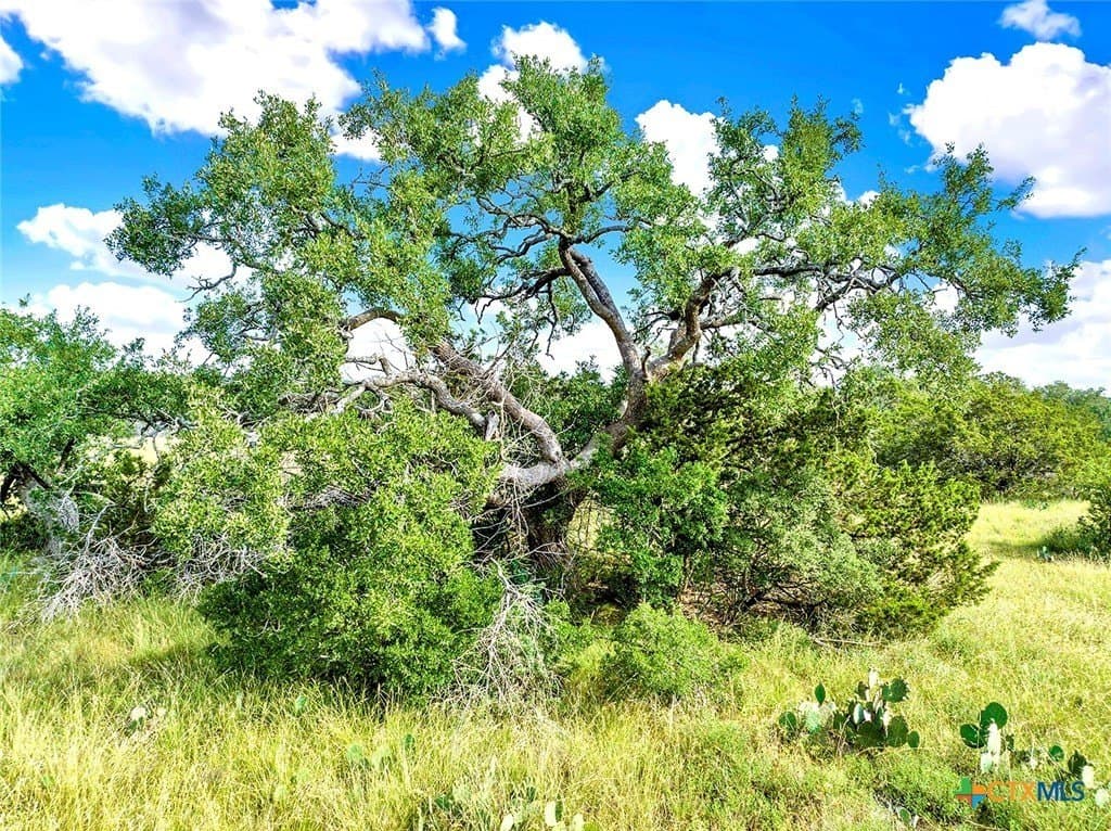 20.11 acres in Hays County - photo 3