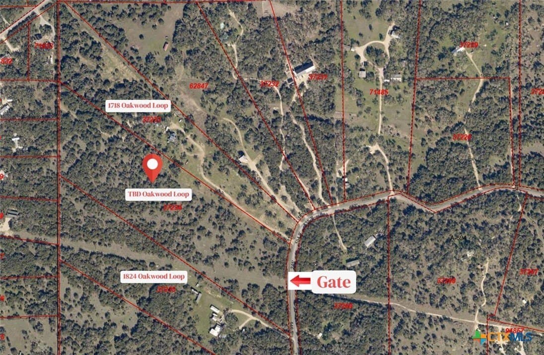 20.11 acres in Hays County - photo 2