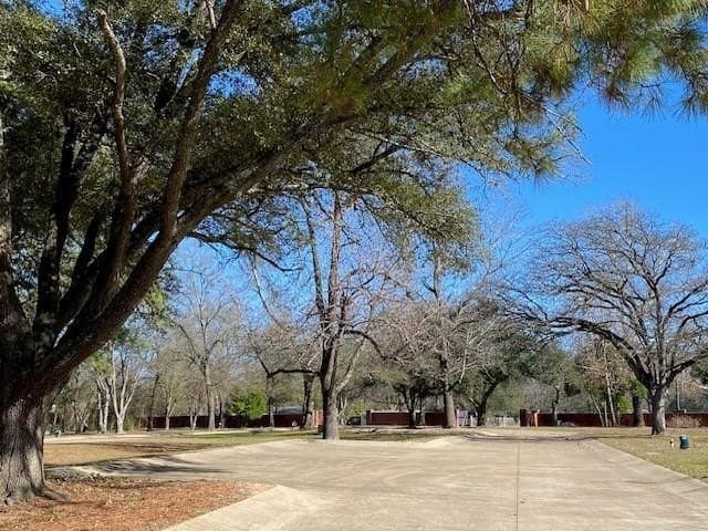 0.28 acres in Henderson County - photo 5