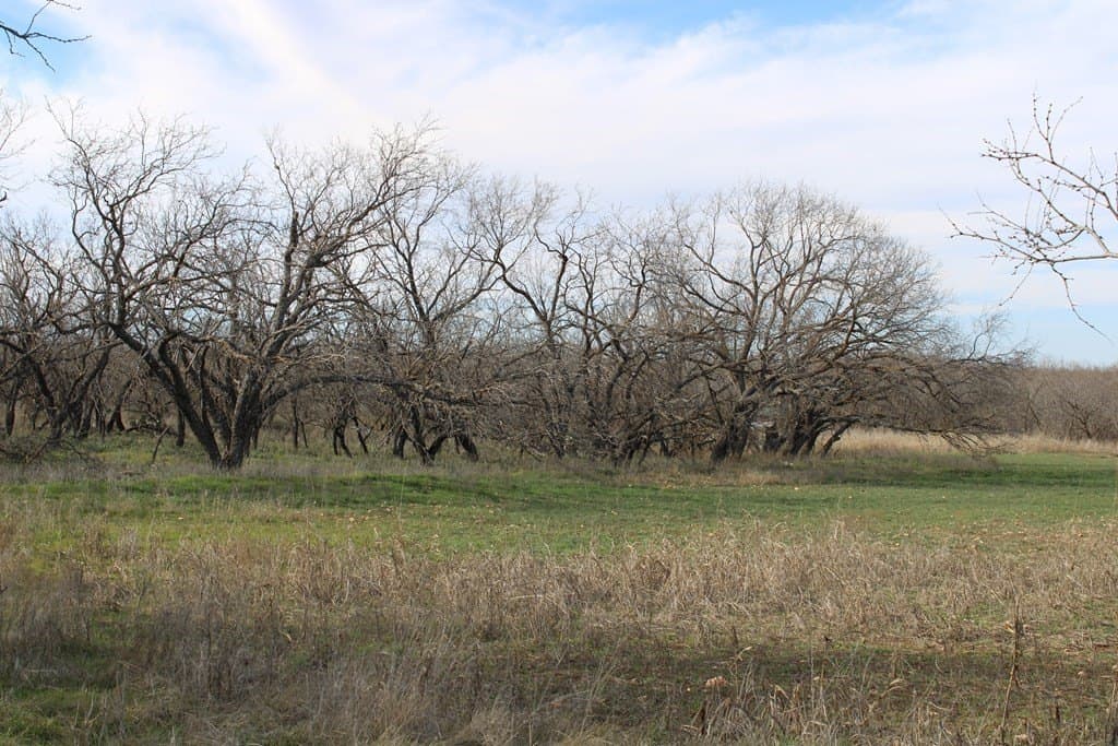 191.16 acres in Runnels County - photo 11