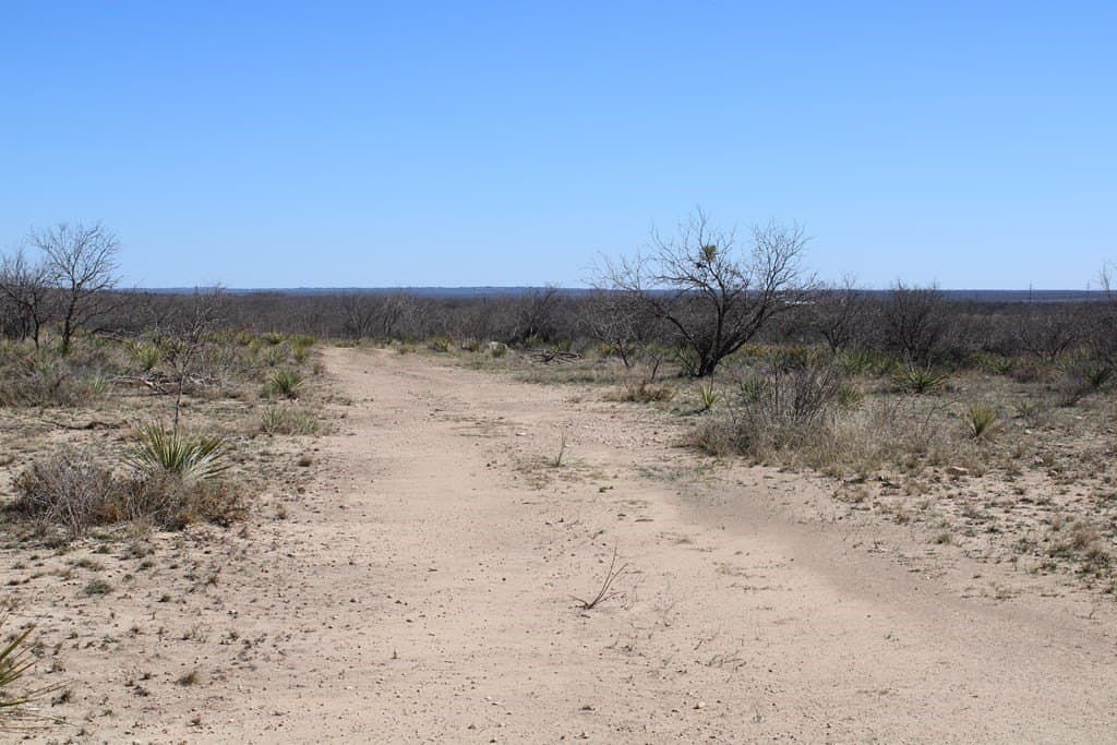 191.16 acres in Runnels County - photo 4