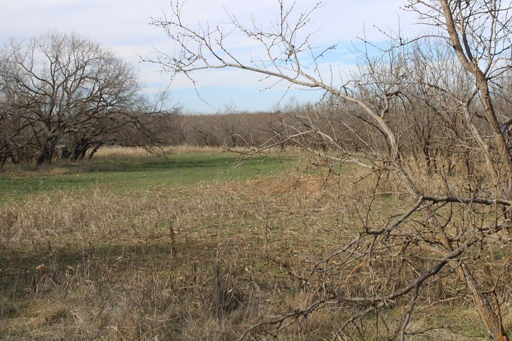 191.16 acres in Runnels County - photo 12