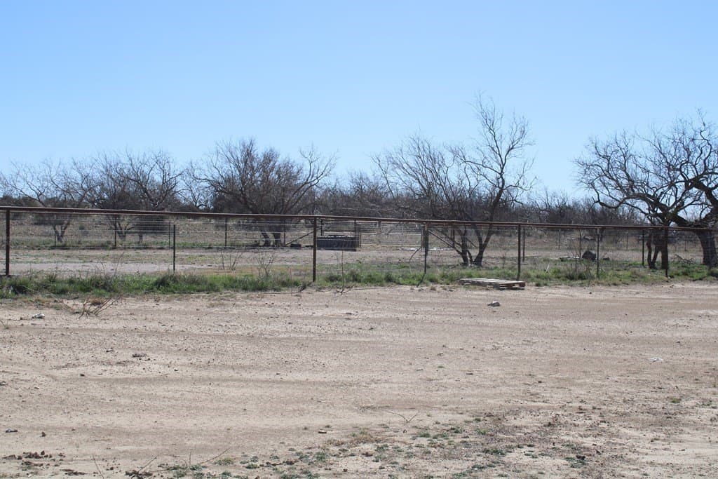 191.16 acres in Runnels County - photo 7