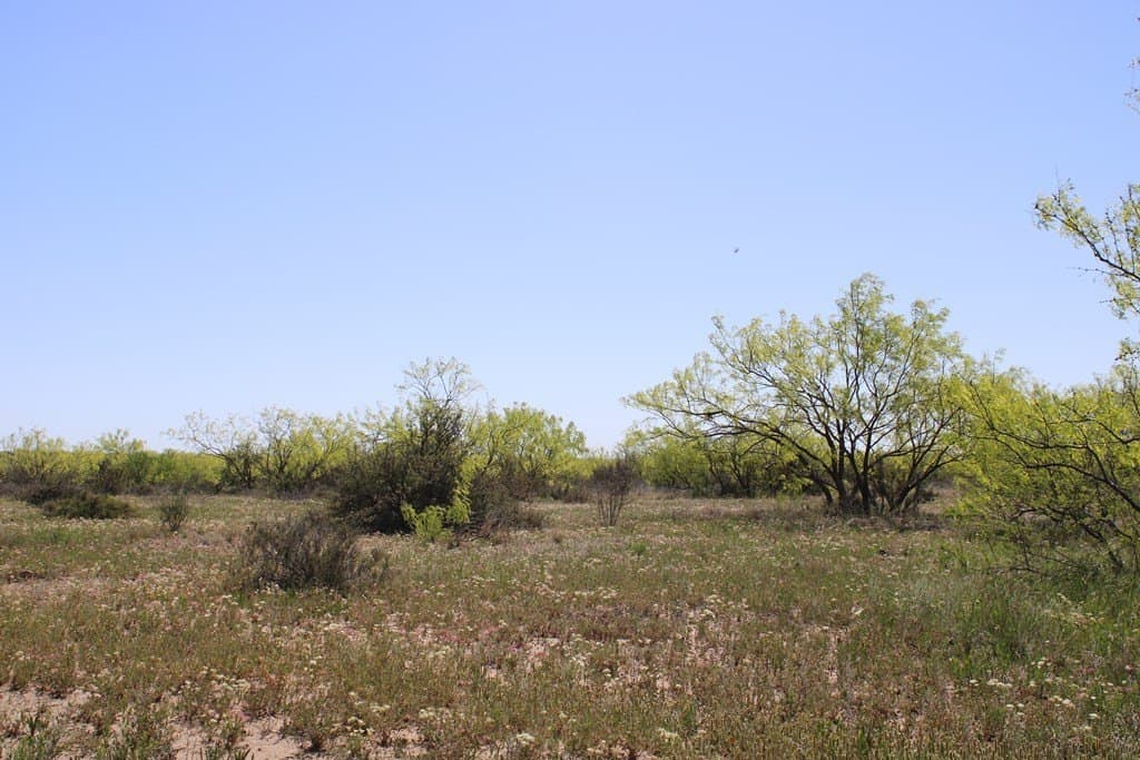 191.16 acres in Runnels County - photo 21
