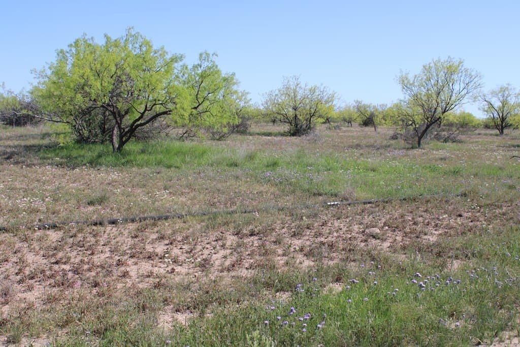 191.16 acres in Runnels County - photo 15