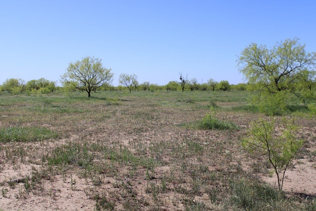 191.16 acres in Runnels County - photo 26