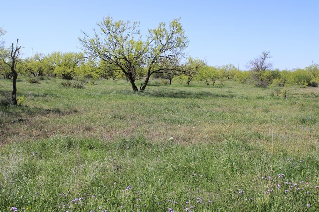 191.16 acres in Runnels County - photo 13