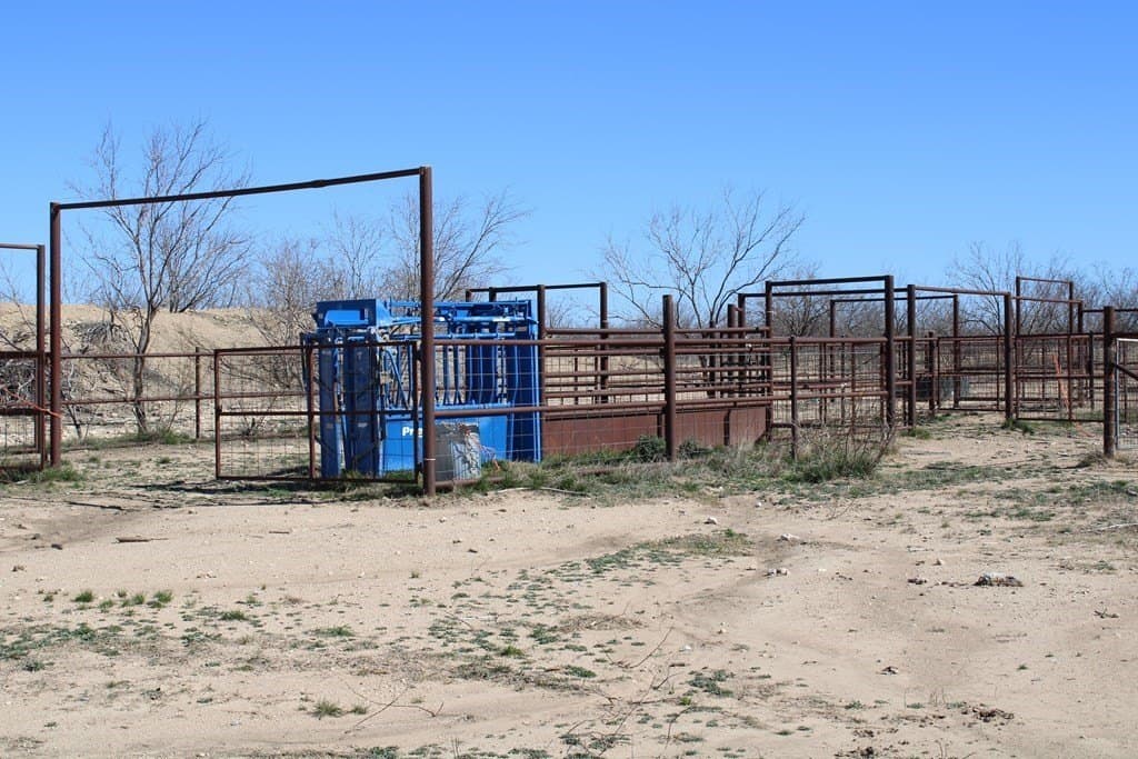 191.16 acres in Runnels County - photo 9