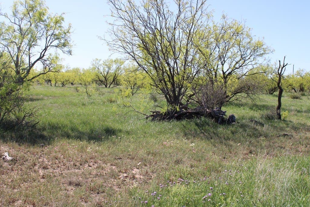 191.16 acres in Runnels County - photo 14