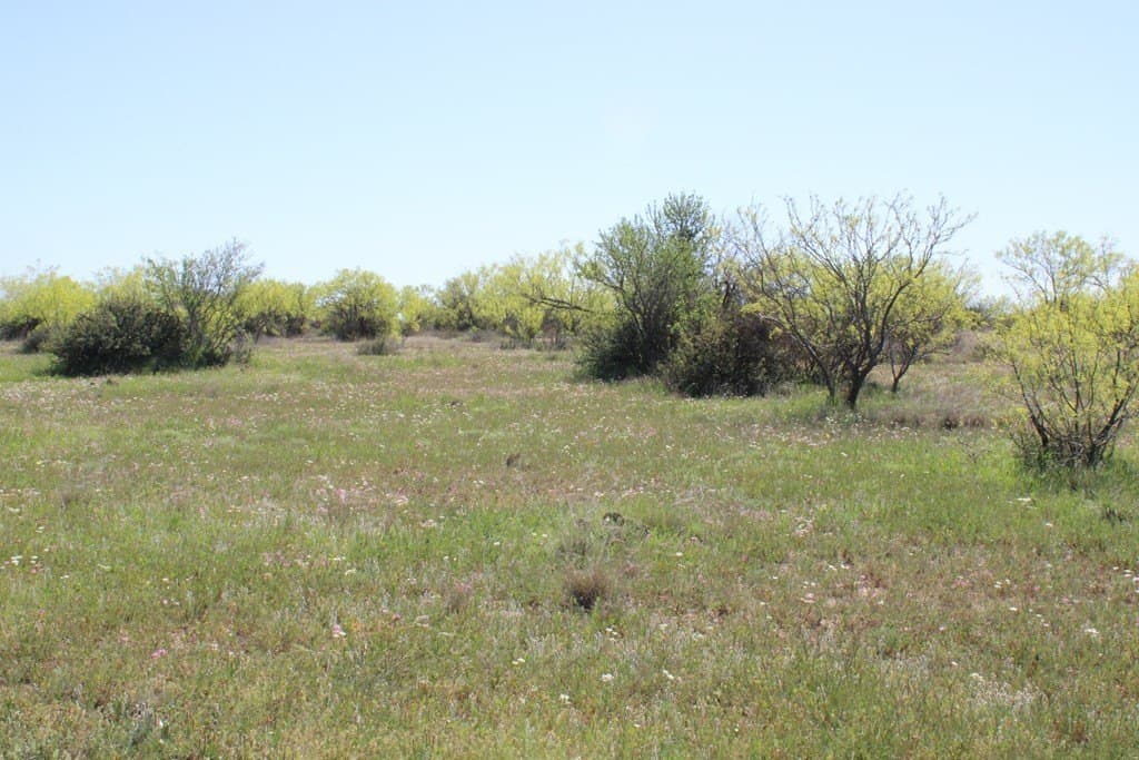 191.16 acres in Runnels County - photo 18