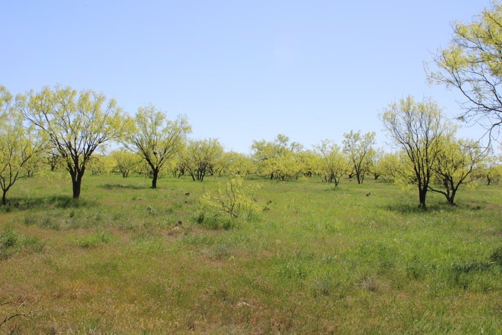 191.16 acres in Runnels County - photo 29