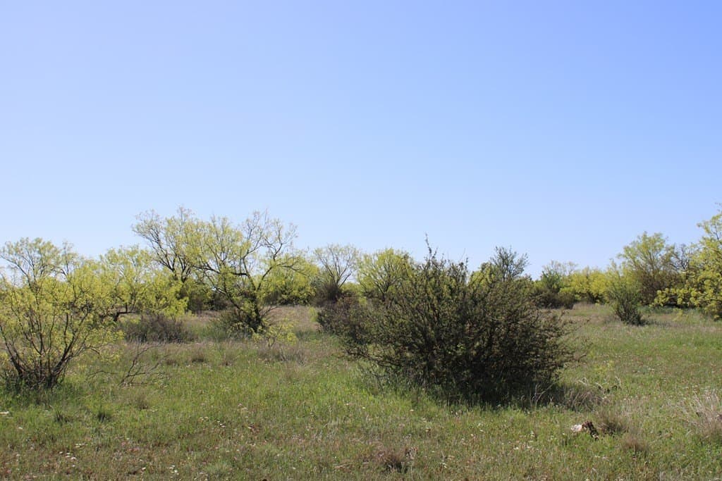 191.16 acres in Runnels County - photo 19
