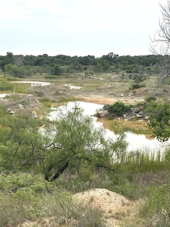 93 acres in Parker County - photo 9
