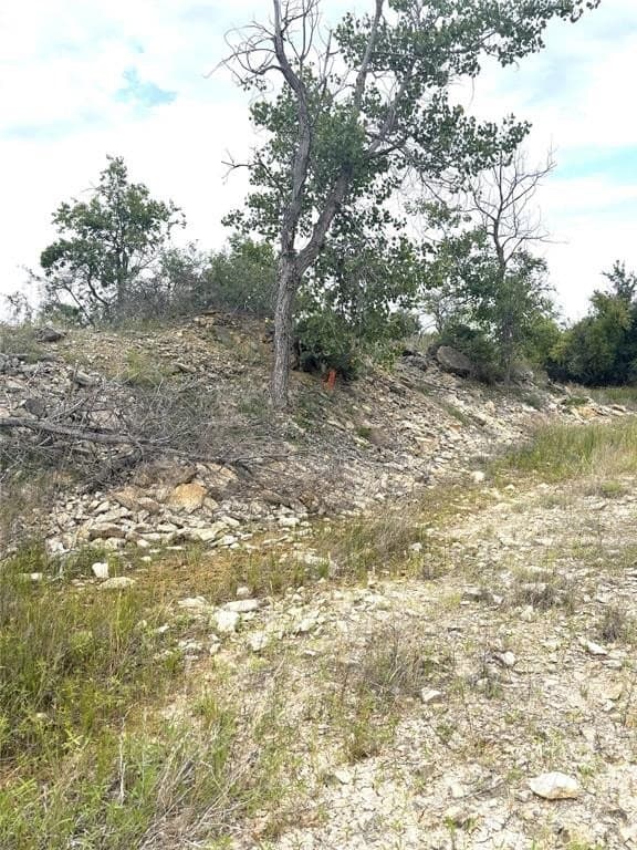 93 acres in Parker County - photo 11
