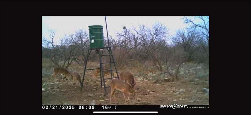 23.14 acres in McCulloch County - photo 4