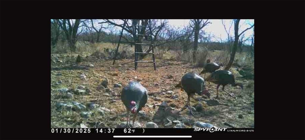 23.14 acres in McCulloch County - photo 3