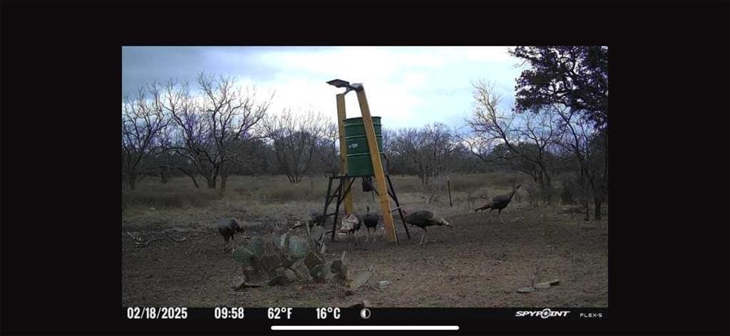 23.14 acres in McCulloch County - photo 2