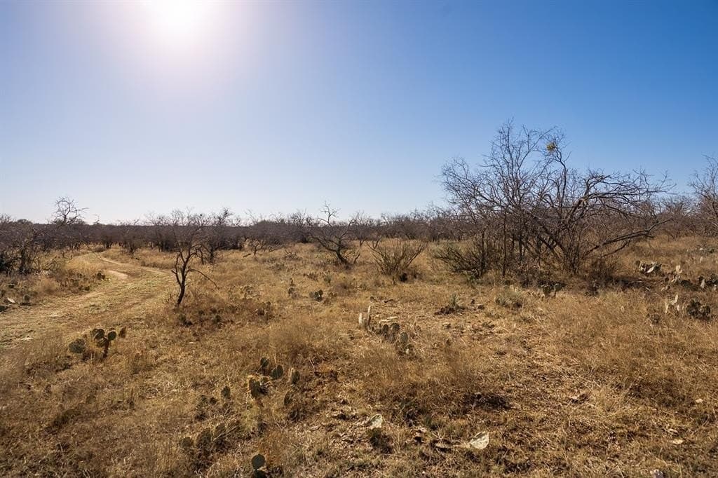 23.14 acres in McCulloch County - photo 16