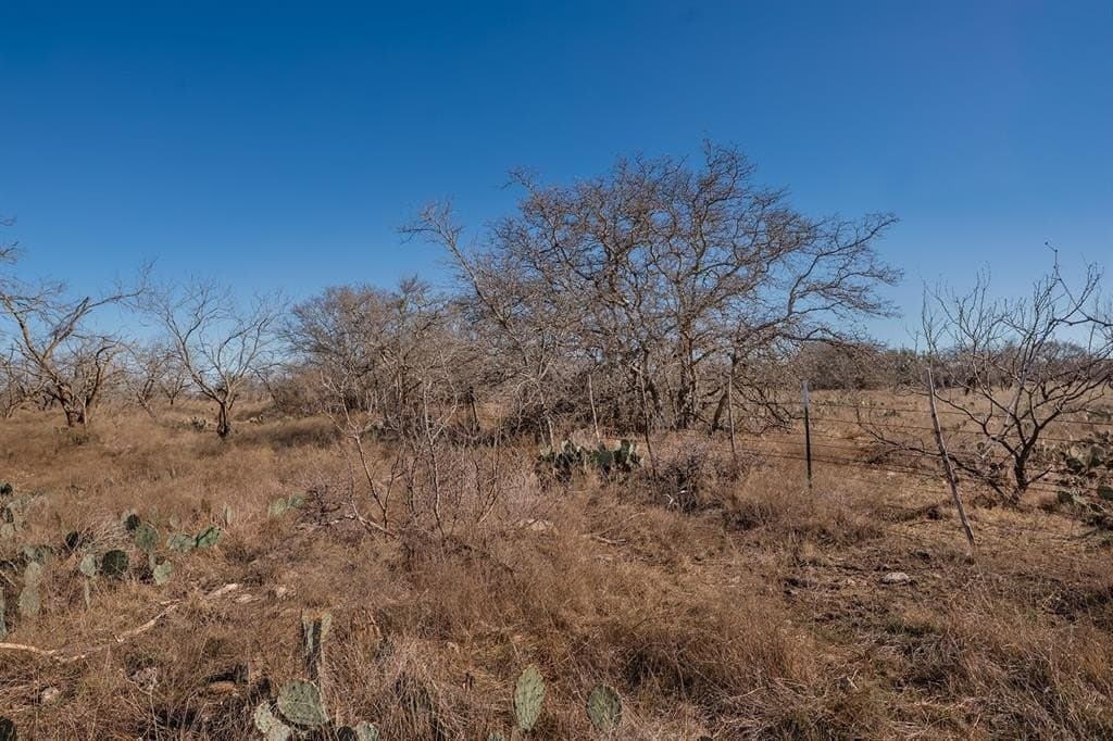 23.14 acres in McCulloch County - photo 6