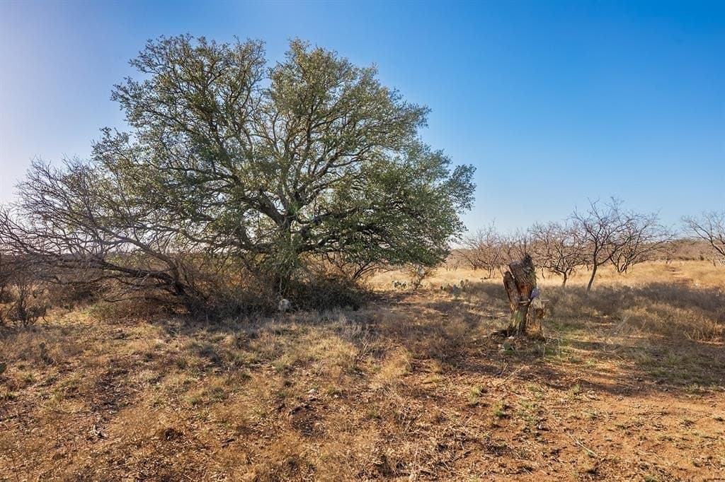 23.14 acres in McCulloch County - photo 12