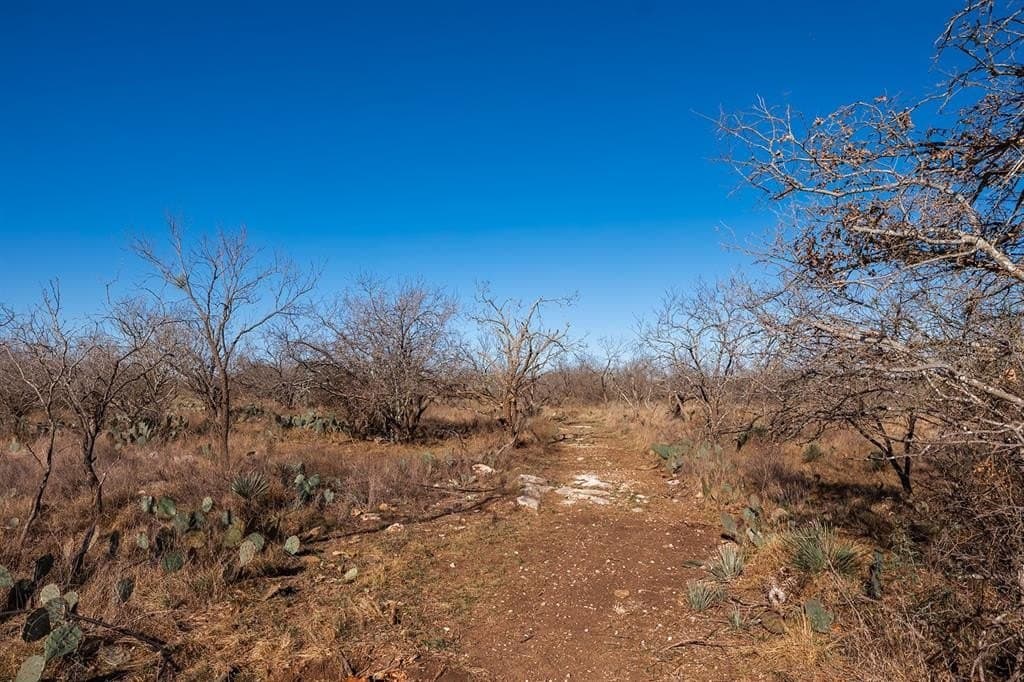 23.14 acres in McCulloch County - photo 18