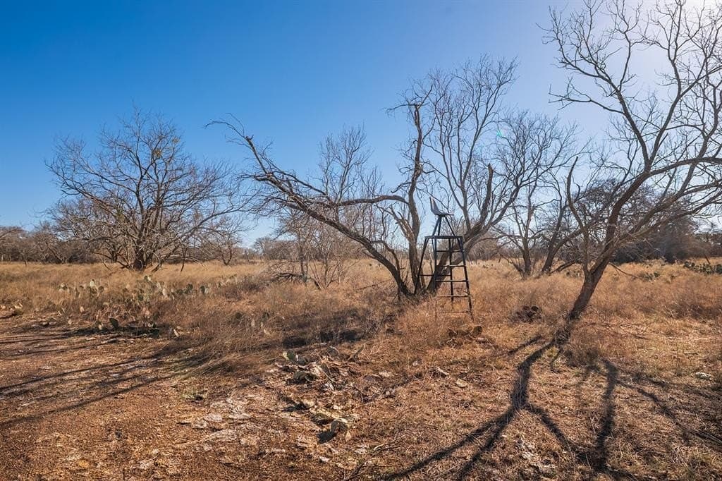 23.14 acres in McCulloch County - photo 8