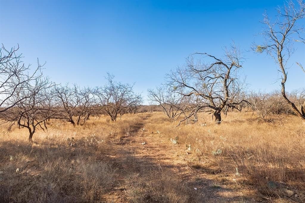 23.14 acres in McCulloch County - photo 9