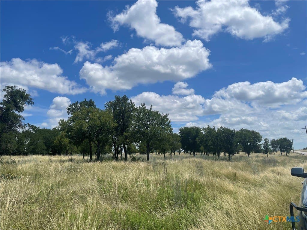 10.01 acres in Lampasas County - photo 6