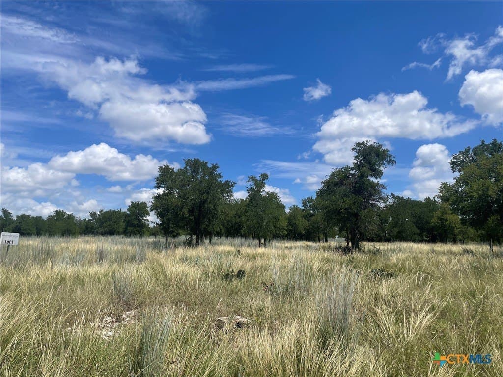 10.01 acres in Lampasas County - photo 5