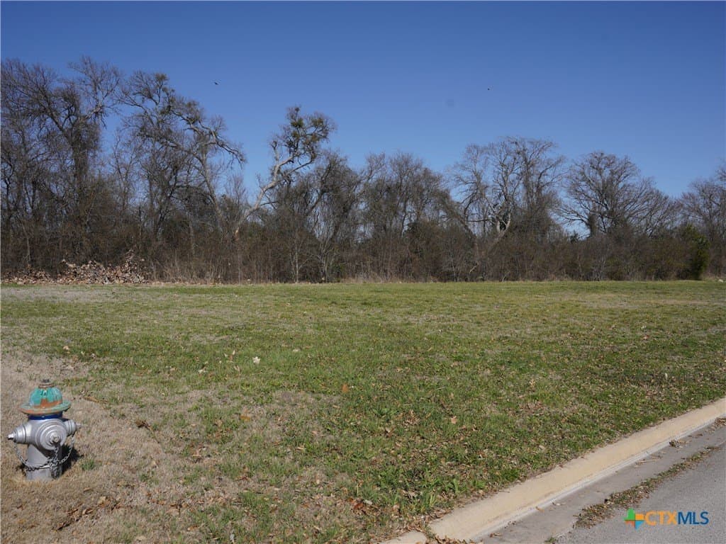 0.23 acres in Bell County - photo 2