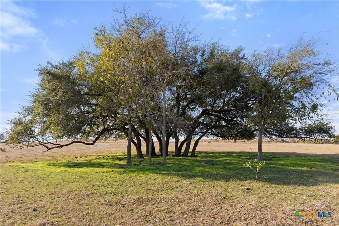 32.18 acres in Williamson County - photo 21