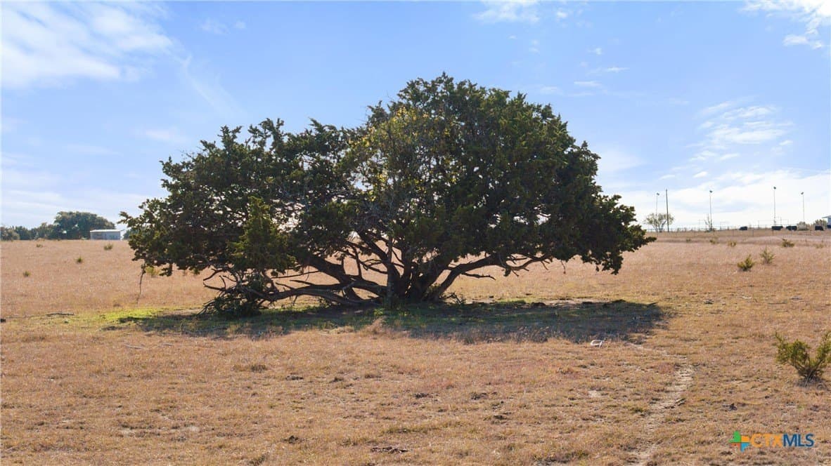 32.18 acres in Williamson County - photo 18