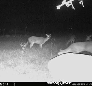 20.02 acres in Comanche County - photo 36